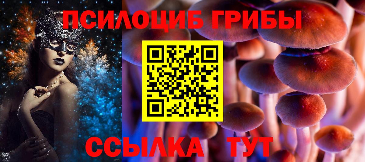 Псилоцибиновые грибы MAGIC MUSHROOMS  Вход с VPN  Псилоцибиновые грибы Psilocybine cubensis  Похвистнево 